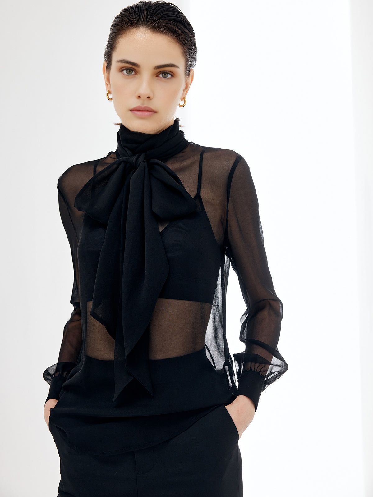 Sheer Bow Chiffon Blouse