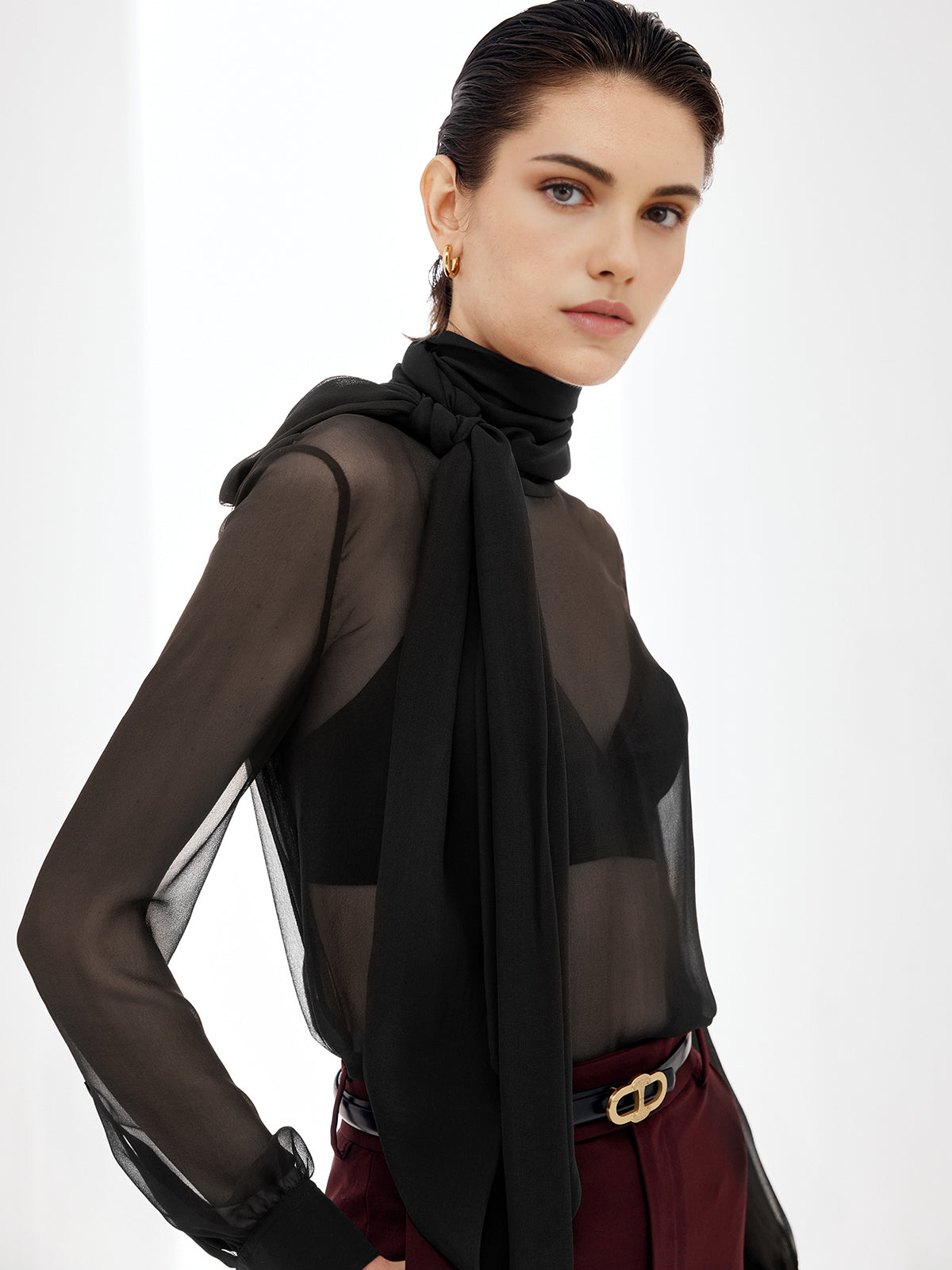 Sheer Bow Chiffon Blouse