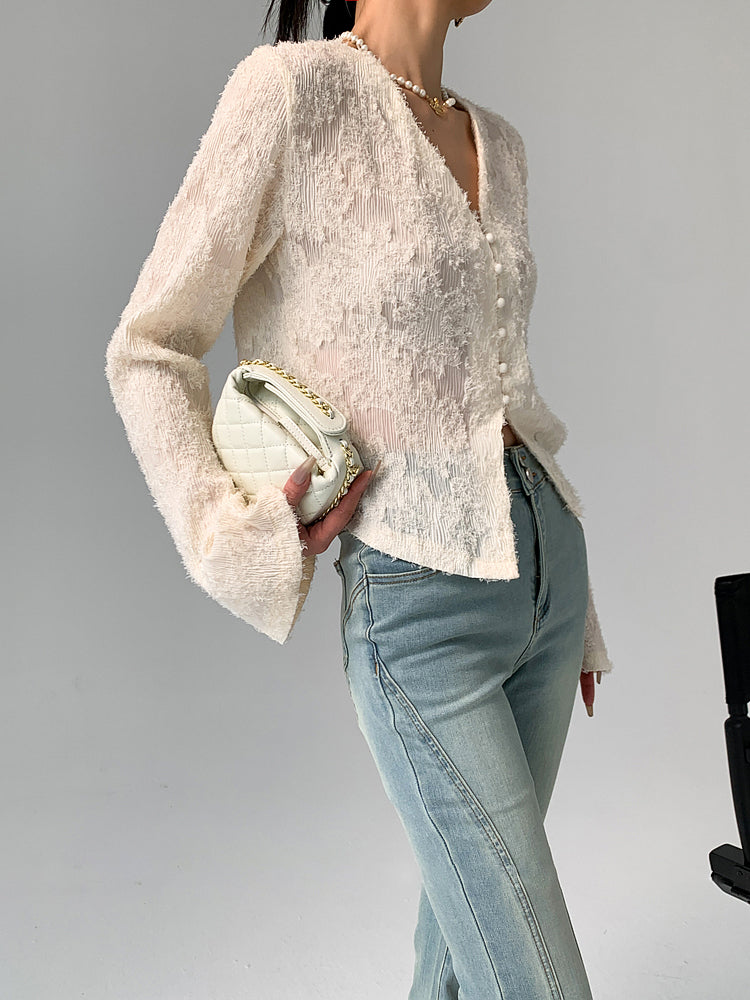 Semi-Sheer V-Neck Ruffle Long Sleeve Blouse